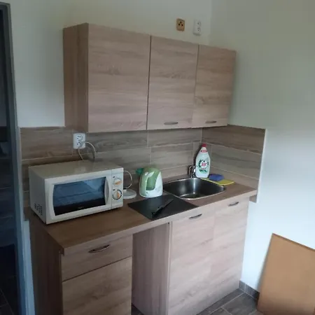 Ubytovani U Bohemie Jednoty 2200 Apartment *
